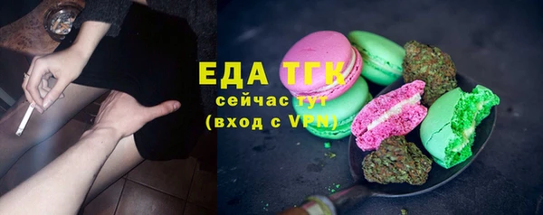 МДПВ Каменка