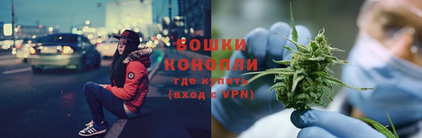 МДПВ Каменка