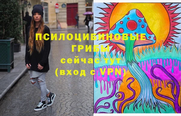 МДПВ Каменка