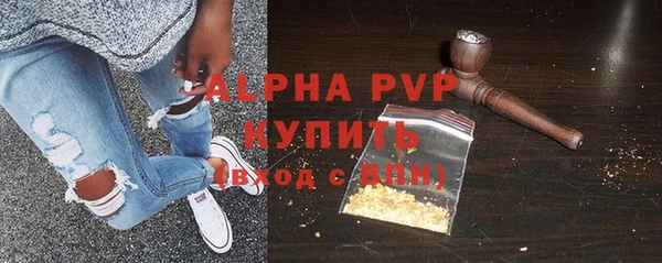МДПВ Каменка