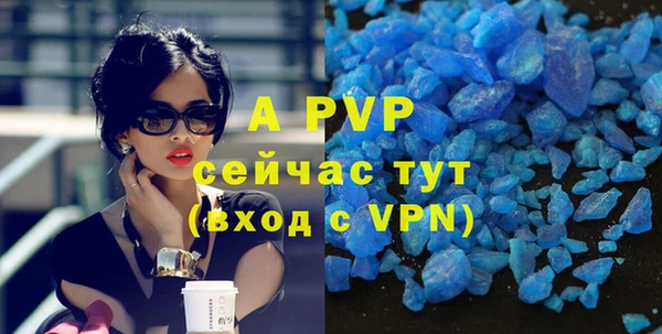 МДПВ Каменка