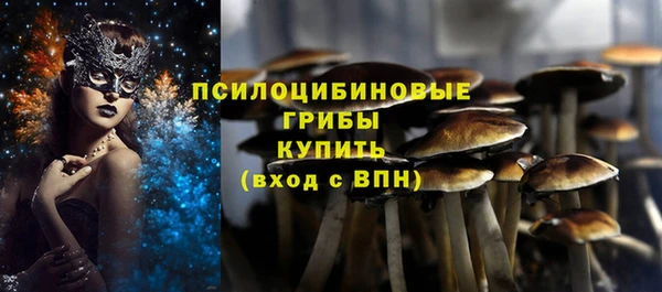 2c-b Каменск-Шахтинский